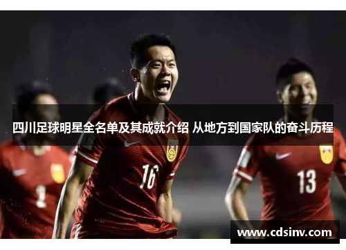 四川足球明星全名单及其成就介绍 从地方到国家队的奋斗历程